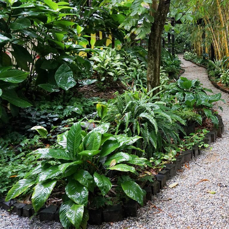 Jacana Amazon Wellness Resort Paramaribo Exterior foto